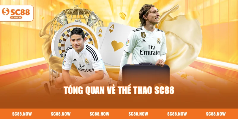Tổng Quan Về Thể Thao SC88
